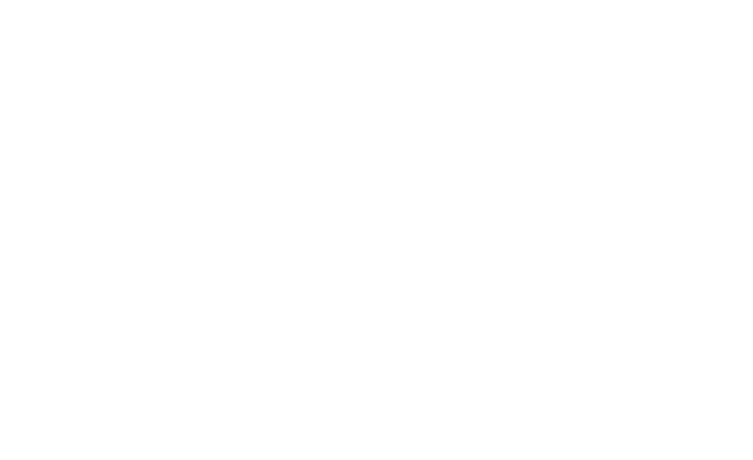 Brains Consultoría